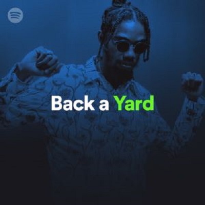 Alkaline-Back-A-Yard.jpg