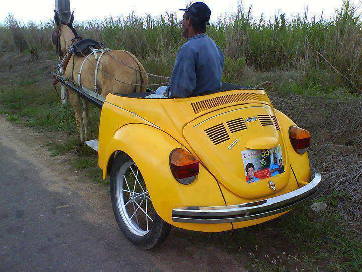 Buggy Cart.jpg
