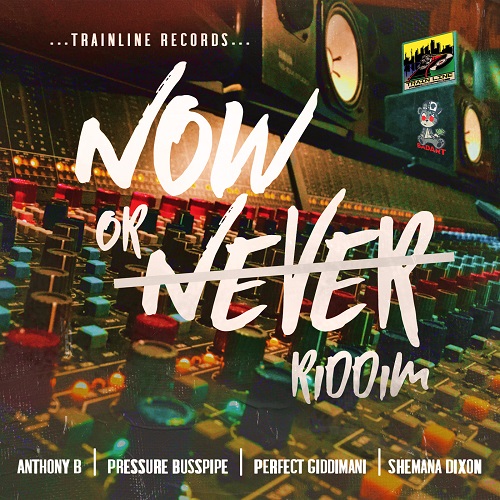 Now Or Never Riddim (Front Cover).jpg