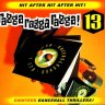 Ragga Ragga Ragga Vol. 13 (1999)