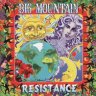 [1995] - Big Mountain  - Resistance