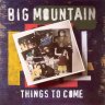 [1999] - Big Mountain - Things to Come