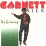 Garnett Silk - It's Growing (1992)