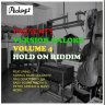 Version Galore Vol. 4 Hold on Riddim (2014)