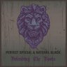 Perfect & Natural Black - Defending The Roots (2018)