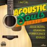 Acoustic Souls Riddim (2015)