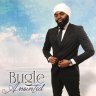 Bugle - Anointed (2014)