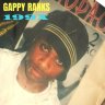 Gappy Ranks - 199X (2020)