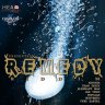 Remedy Riddim (2010)
