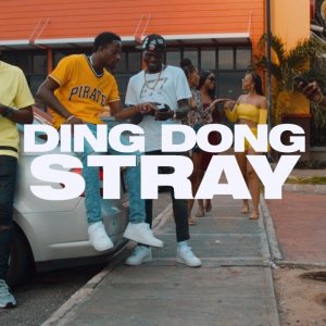 Ding Dong - Stray