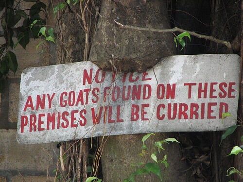 Watch your goat
