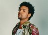 shaggy01.jpg shaggy01.jpg