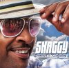 shaggyalbum.jpg shaggyalbum.jpg