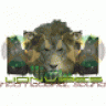 LION VIBES SELECTA