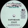 Earthquake Riddim (1998)