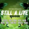 Still A Live Riddim (2019)