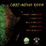 Carry Beyond Riddim (2019)