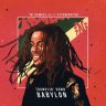 iNi Kamoze Meets Xterminator - Tramplin' Down Babylon