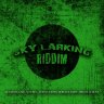 Skylarking Riddim (2010)
