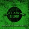 Skylarking Riddim (2010)