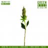 Green Rose Riddim (2019)