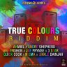 True Colours Riddim (2015)