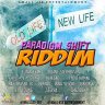 Paradigm Shift Riddim (2020)