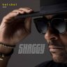 Shaggy - Hot Shot 2020 (2020)