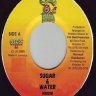 Sugar And Water Riddim (2000)