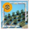 Stella Green Farms Riddim (2021)