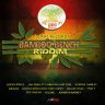 Bamboo Bench Riddim (2017)