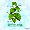 Shining Bush Riddim (2021)