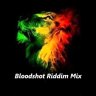 Bloodshot Riddim (2010)