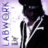 Di Genius Presents-Labwork Vol.2 (2010)