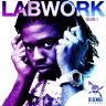 Di Genius Presents-Labwork Vol.3 (2013)