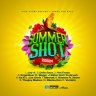 Summer Shot Riddim (2023)