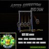 After Effection Riddim (2009)