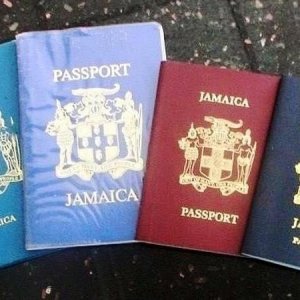 Which passport color house you’ve had?